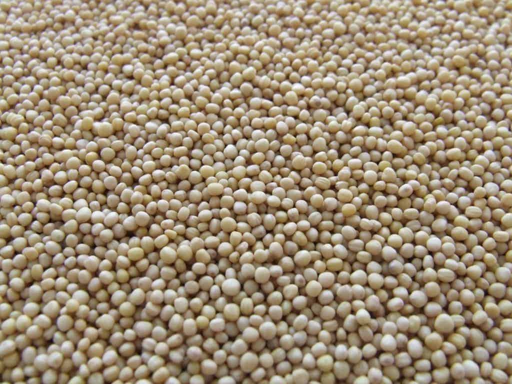 Is Soy The Answer?
