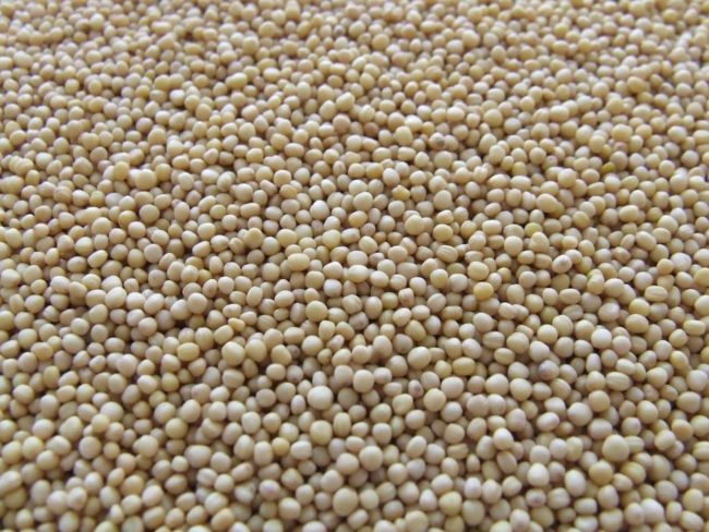 Is Soy The Answer? Is Soy The Answer?