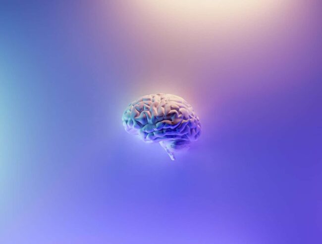 Brain photo milad-fakurian-58Z17lnVS4U-unsplash