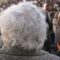 Thinning aging hair